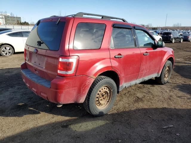 2010 Ford Escape XLT