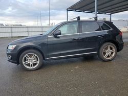 Audi Q5 Vehiculos salvage en venta: 2016 Audi Q5 Premium Plus