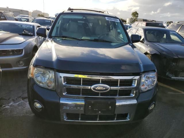 2009 Ford Escape Hybrid