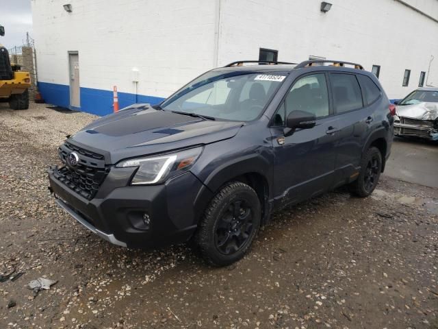 2022 Subaru Forester Wilderness