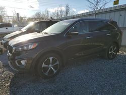 Salvage cars for sale from Copart Walton, KY: 2016 KIA Sorento EX