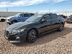 Salvage cars for sale from Copart Phoenix, AZ: 2019 Nissan Altima SR