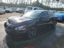 Salvage cars for sale at Harleyville, SC auction: 2013 Nissan Maxima S