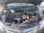 2009 Toyota Camry Hybrid