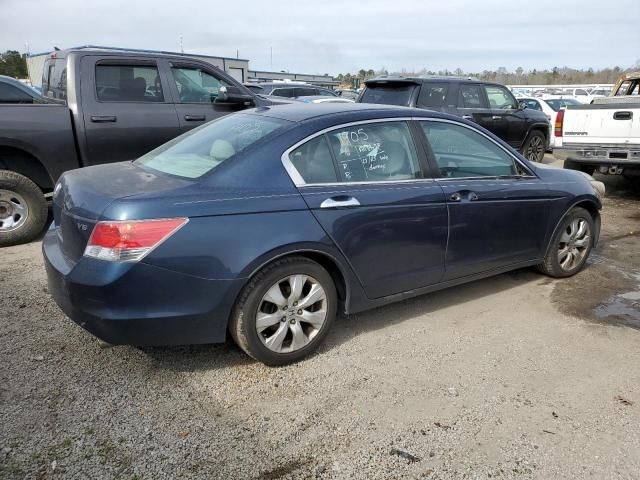 2010 Honda Accord EXL