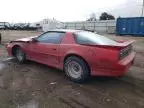 1988 Pontiac Firebird Trans AM