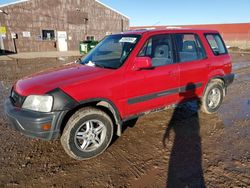 Honda salvage cars for sale: 1999 Honda CR-V EX