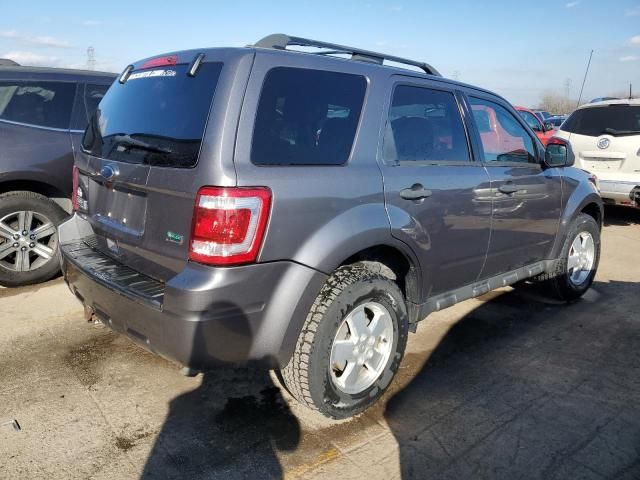 2011 Ford Escape XLT