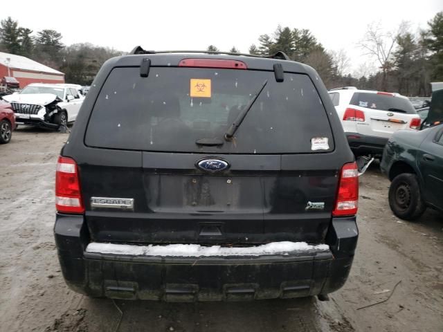 2011 Ford Escape XLT