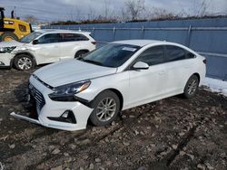 Salvage cars for sale from Copart Marlboro, NY: 2019 Hyundai Sonata SE