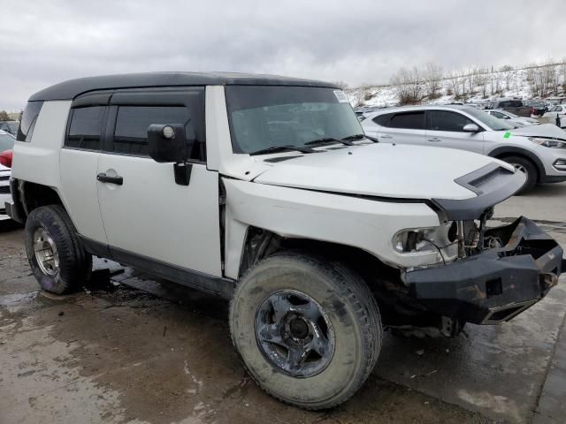 2007 Toyota FJ Cruiser