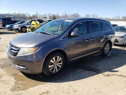 Salvage cars for sale from Copart Louisville, KY: 2014 Honda Odyssey EXL