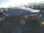 2007 Lexus LS 460