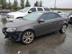 Volkswagen EOS salvage cars for sale: 2013 Volkswagen EOS LUX