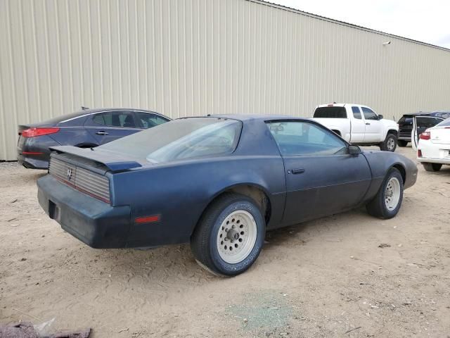 1982 Pontiac Firebird SE