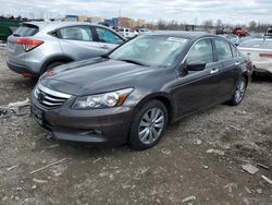 Salvage cars for sale from Copart Columbus, OH: 2011 Honda Accord EXL