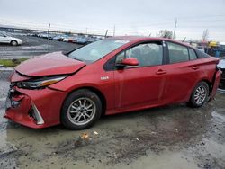 Toyota Prius salvage cars for sale: 2017 Toyota Prius Prime