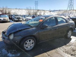 Dodge Neon SXT salvage cars for sale: 2003 Dodge Neon SXT