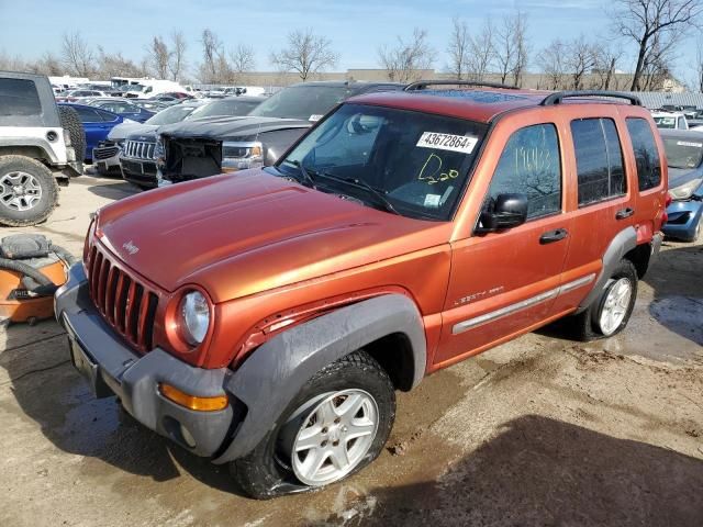 2002 Jeep Liberty Sport