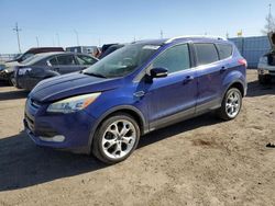 Salvage cars for sale at Greenwood, NE auction: 2014 Ford Escape Titanium