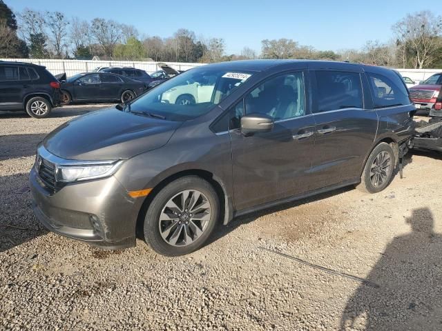 2022 Honda Odyssey EXL