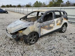 Salvage cars for sale from Copart Memphis, TN: 2014 Ford Escape SE