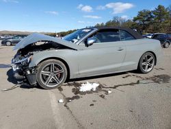 Salvage cars for sale from Copart Brookhaven, NY: 2019 Audi S5 Premium Plus