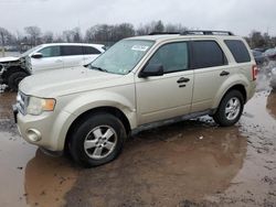 2010 Ford Escape XLT for sale in Chalfont, PA