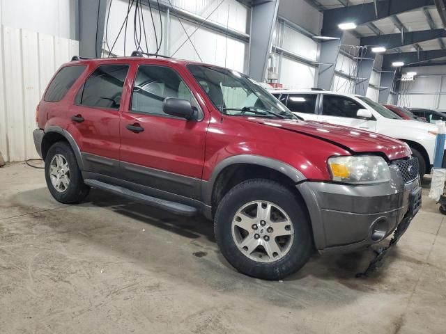 2005 Ford Escape XLT