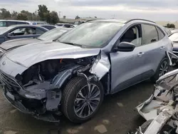 Salvage cars for sale at Martinez, CA auction: 2022 Ford Escape SE