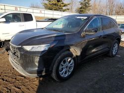 Vehiculos salvage en venta de Copart Davison, MI: 2023 Ford Escape Active