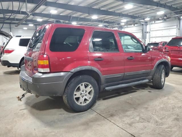 2005 Ford Escape XLT