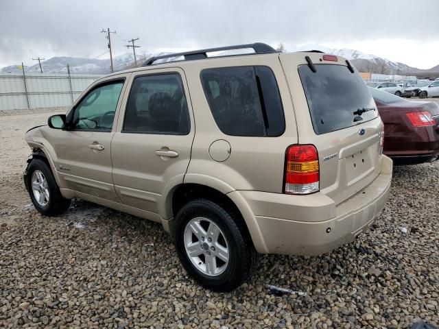 2007 Ford Escape HEV