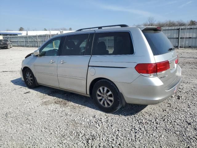 2008 Honda Odyssey EXL