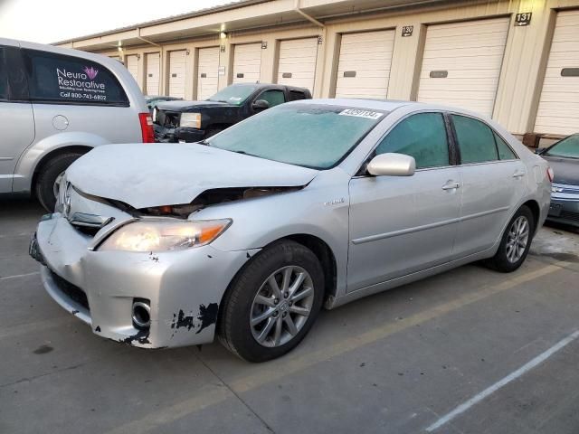 2010 Toyota Camry Hybrid