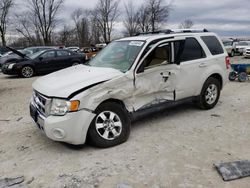 Salvage cars for sale from Copart Cicero, IN: 2012 Ford Escape Limited