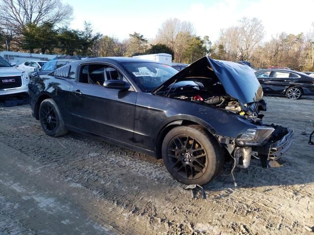 2014 Ford Mustang