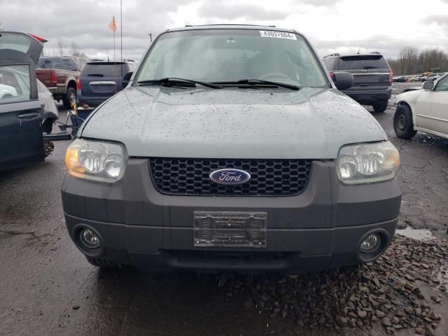 2005 Ford Escape XLT