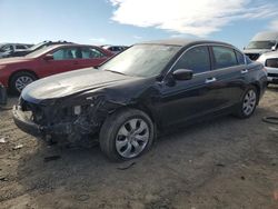 Honda Accord salvage cars for sale: 2010 Honda Accord EXL