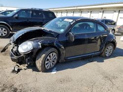 Volkswagen Beetle salvage cars for sale: 2019 Volkswagen Beetle S