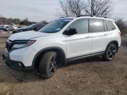 Salvage cars for sale at Baltimore, MD auction: 2021 Honda Passport Elite