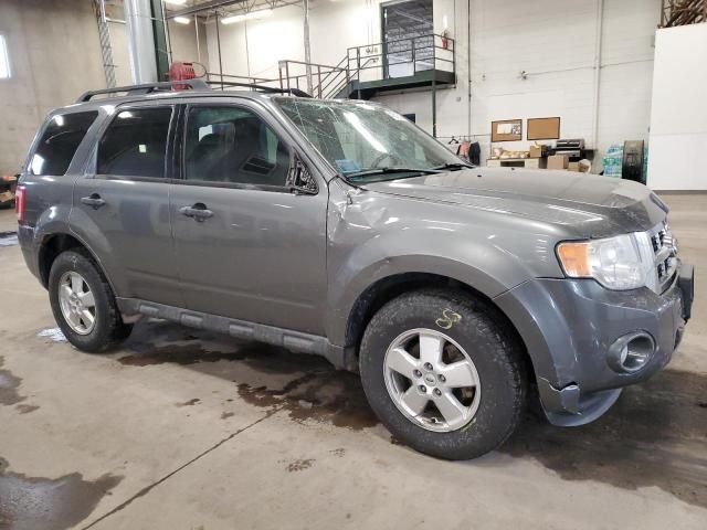 2011 Ford Escape XLT