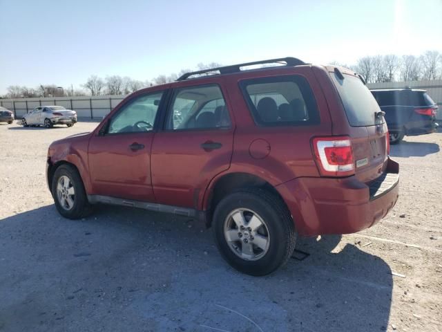 2011 Ford Escape XLS