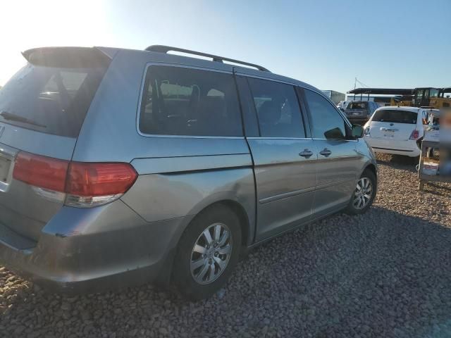 2008 Honda Odyssey EXL