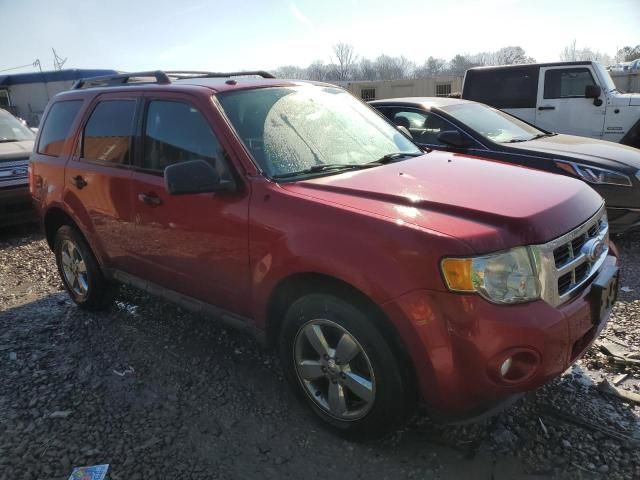 2012 Ford Escape XLT