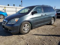 Salvage cars for sale at Mercedes, TX auction: 2006 Honda Odyssey EXL