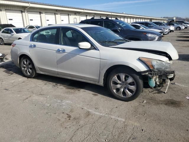 2010 Honda Accord EXL