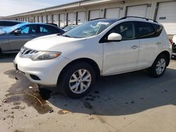 Nissan Murano salvage cars for sale: 2012 Nissan Murano S