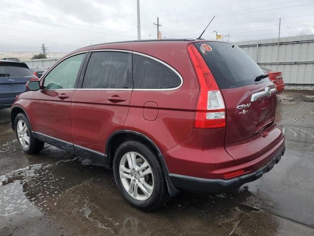 2010 Honda CR-V EXL