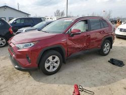 Toyota Rav4 XLE salvage cars for sale: 2019 Toyota Rav4 XLE